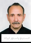 محبوب رخساری اوغانی